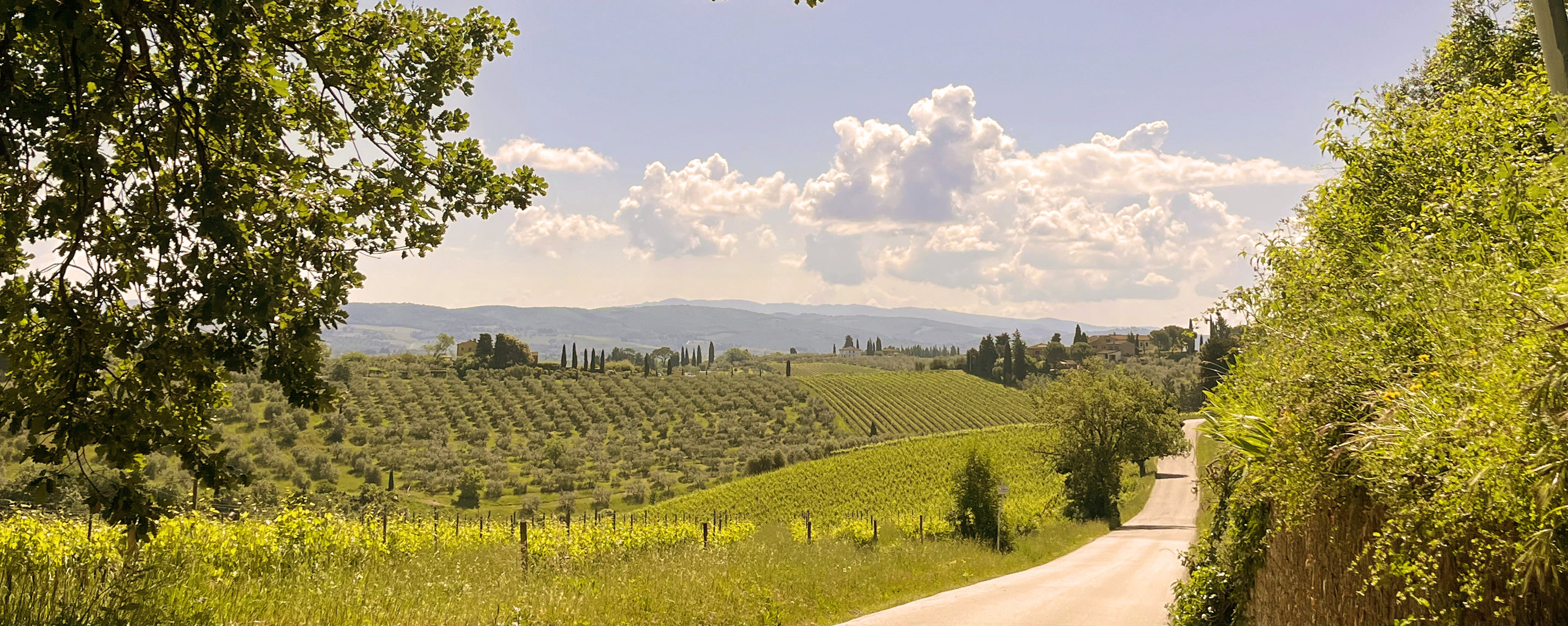 Toscana landskap