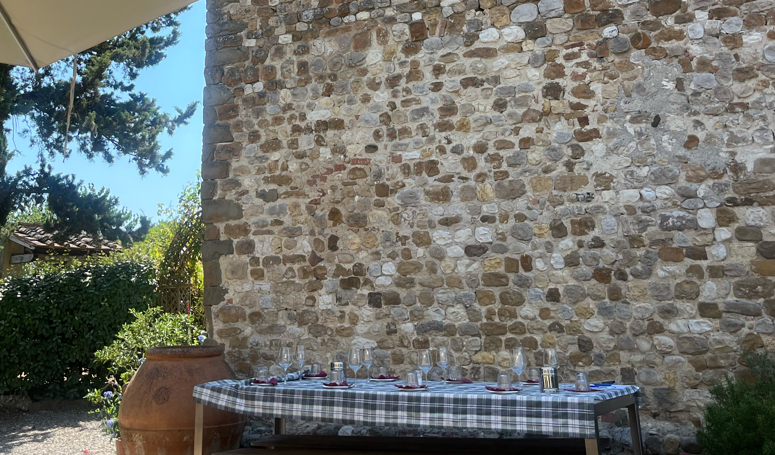 Vingård i Chianti